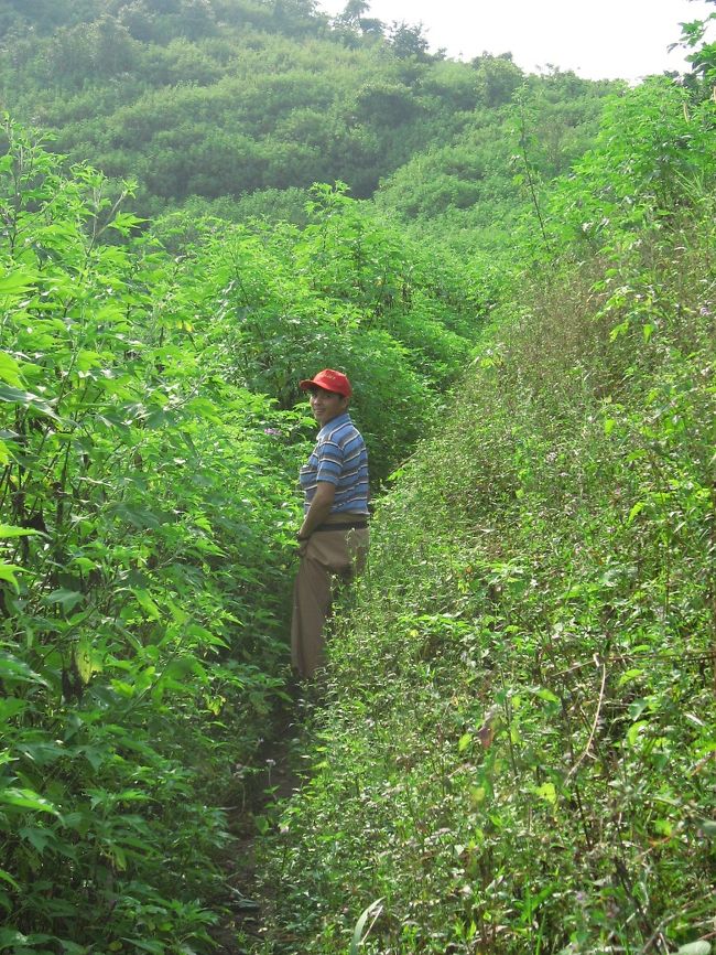ガイドさん。<br /><br />本業は農業で、お呼びかかかるとガイドを引き受ける。<br /><br />英語を教わった先生について、いろいろ話してくれた。<br /><br />世界を広げてくれて、とても感謝しているって。