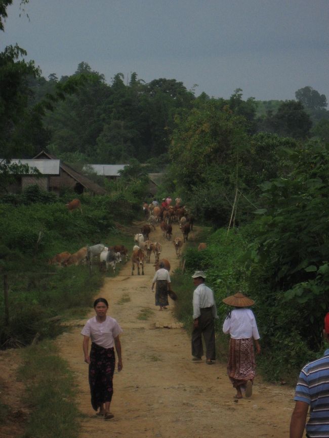 反対側の丘への<br /><br />帰り道