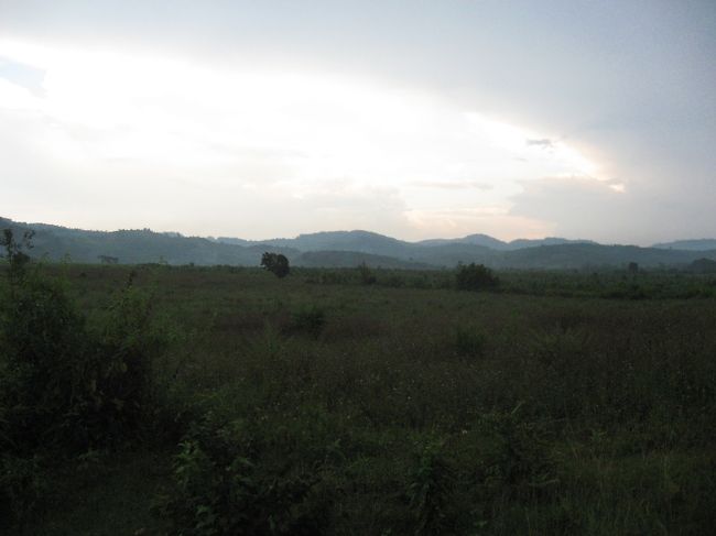 帰り際に雨が降り出した。雨雲から逃げるように、<br />大急ぎで町へ帰る。<br /><br />ガイドさんいわく、雨が降って申し訳ないけど、昨日苗を植えたばかりだから、本当はちょっとありがたいんだ。ごめんね、って。<br /><br />笑って駆け足。