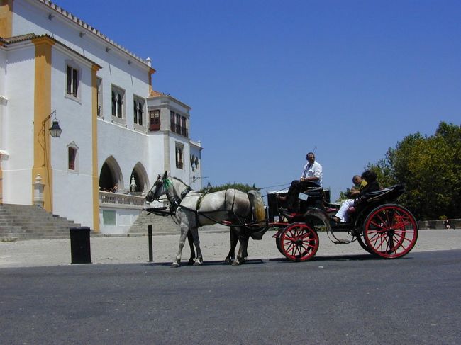 王宮前の客待ちをしている馬車です。