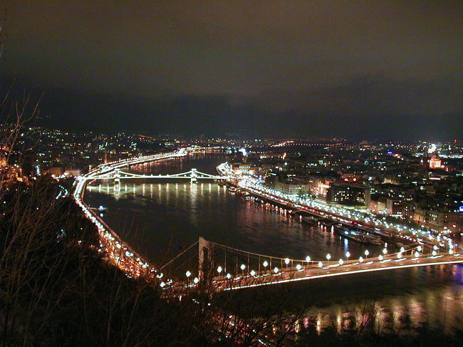 ゲレルトの丘からのドナウ川。