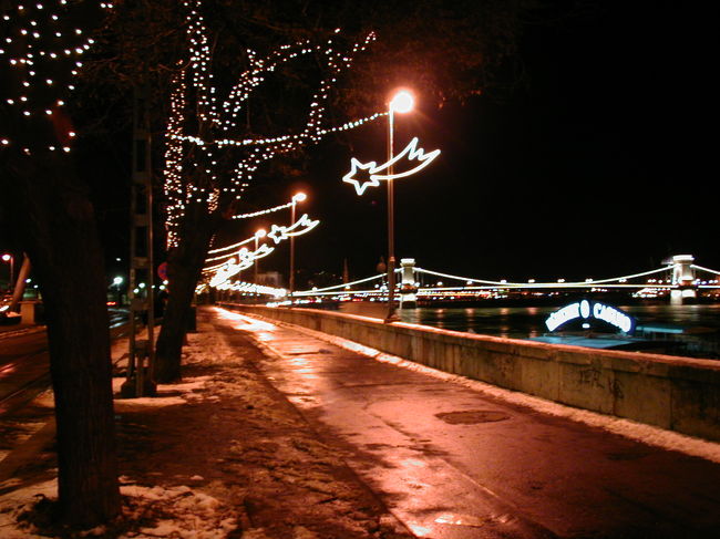 ドナウ川沿いを歩く。少し怖い。