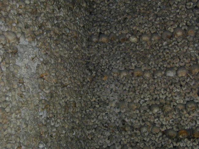 本当の人骨だそうです。