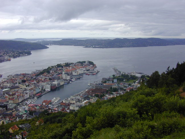 フロイエン山からのベルゲン市の眺めです。
