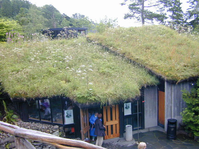 北欧には草のある屋根の家がよく見られました。暖房を目的としたものなのでしょうか。