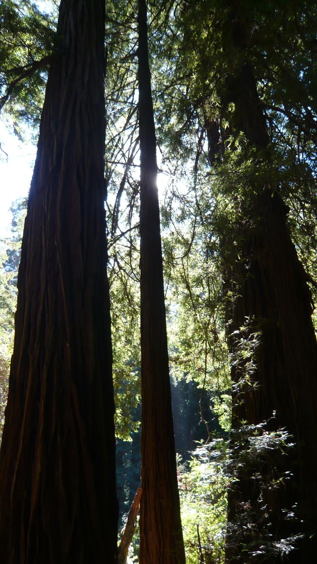 さあ、小さなトレッキングのはじまりだ。