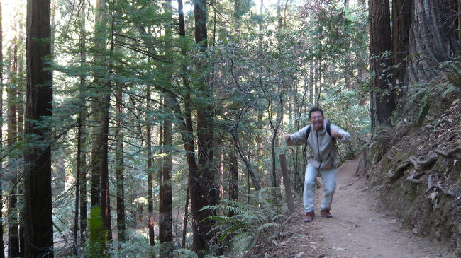 これだ、これ、これがやりたかったのだ。気分はもうスターウォーズ。ジェダイの騎士。