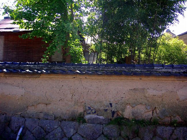 列の動きがゆっくりなので<br /><br />付近の景色もゆっくり見られます。