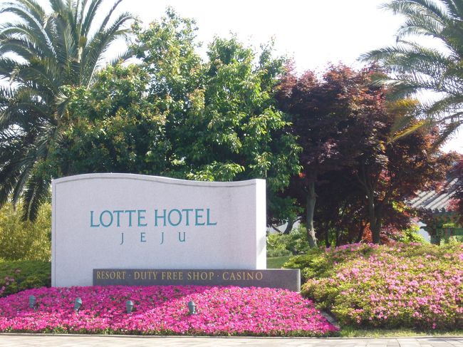 １３時近くに済州国際空港へ到着。<br />途中、免税店によりつつホテルへ・・・<br /><br />今回はちょっと奮発して島の南側、中文リゾートに<br />あるロッテ（済州）ホテルに宿泊。<br />