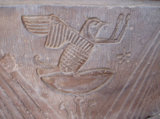 この子、気になる。。。