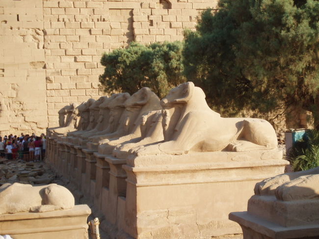 カルナック神殿。お出迎え下さったみなさんです。