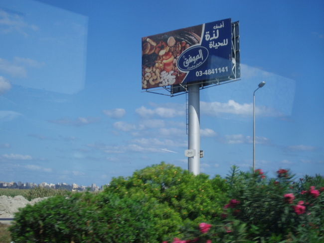 微妙に何の宣伝かわかりません。