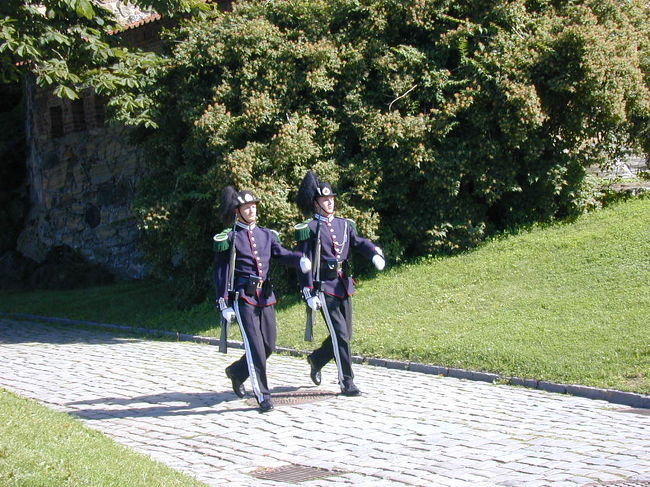 アーケシュフーズ城址では２人の衛兵が見られました。