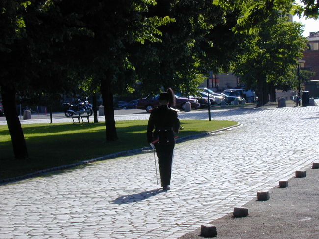 ここにも衛兵が１人。