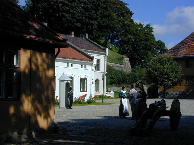 アーケシュフーズ城址には古い大砲がおいてありました。