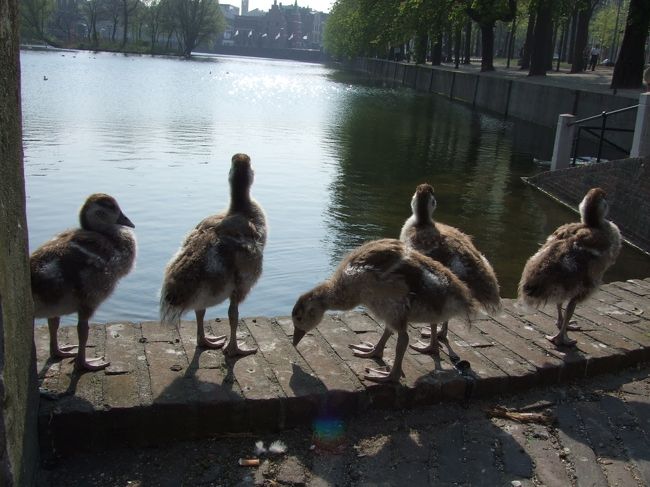 春ですねぇ・・