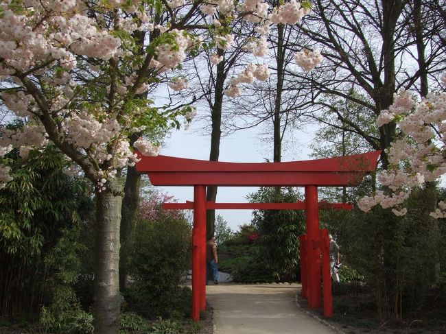 日本庭園コーナー