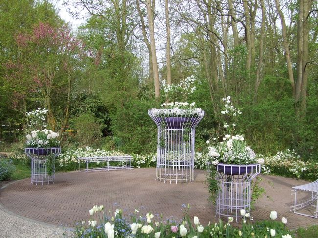 白いお花のコーナー