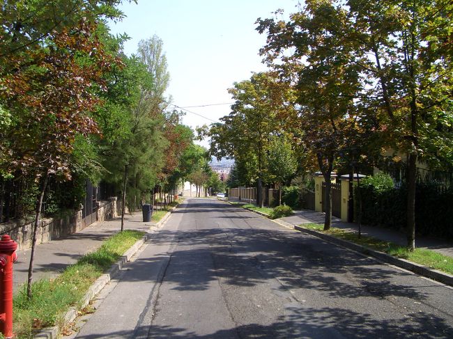 高級住宅ストリート。すれ違う人もおらず、閑静極まりないです。