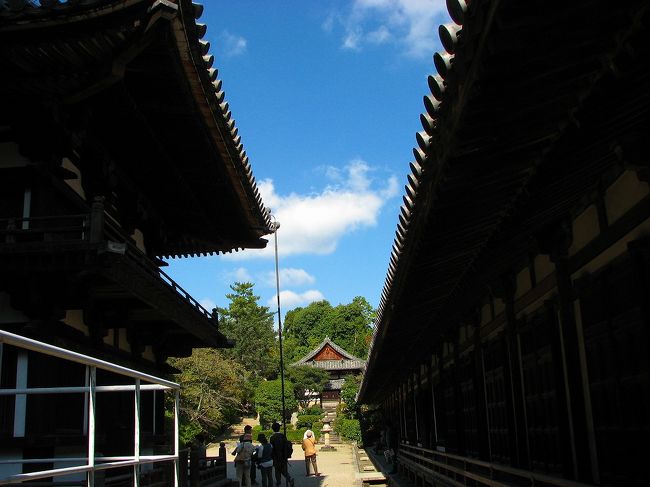 遠く奥に見えるは<br /><br />　　「旧開山堂」<br /><br />小さくても質素で好きなお堂です。