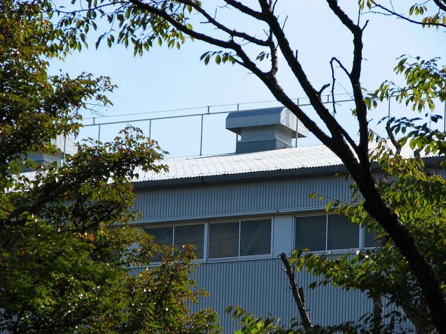 木々の間から見える工事現場