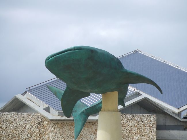 そして美ら海水族館にいきました。一人で水族館はかなり抵抗があったのですが、まわりから絶対行ったほうがいいといわれ行きました。行ってよかったです。確かに行くべきでした（笑）街のいたるところで入場割引券が売っていました。定価で入場する人いるのかなぁ？