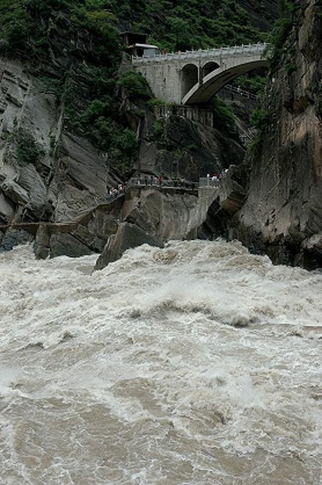 階段を下り切ると、激流になった金沙江がすぐ目の前。<br /><br />この迫力！<br /><br /><br />ここから見ると、麗江市側からの見学は上の画像で虎の像がある岩山の後ろを通って、あの橋の下の遊歩道まで来るようになっているようです。<br /><br />その遊歩道を歩く人たちも、この激流の眺めの中では小さすぎる点景。