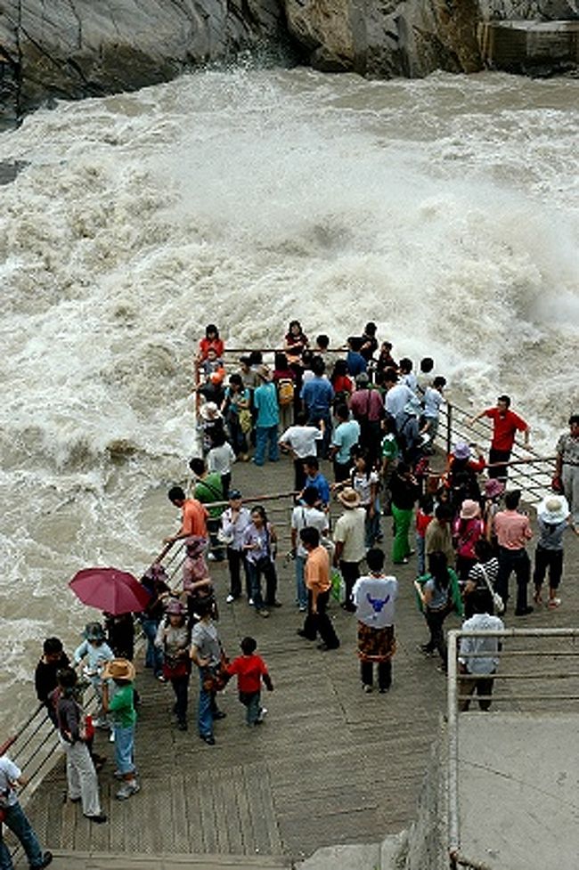 駐車場へ戻る階段で、さっきまで自分も立っていた展望台を振り返って見下ろしてみる。<br /><br />上から見た金沙江はこの大迫力。<br /><br />展望台周辺に立っている人たちのゆったりした雰囲気と思わず知らず見比べているせいなのか、一層猛々しく見える水の流れ。<br /><br /><br />あれれ、展望台の先端には一度に１５人しか入っちゃいけないって標識が出てるのに、３０人は入っている。<br />人も一緒に崩れて流される様子を想像すると((+_+))