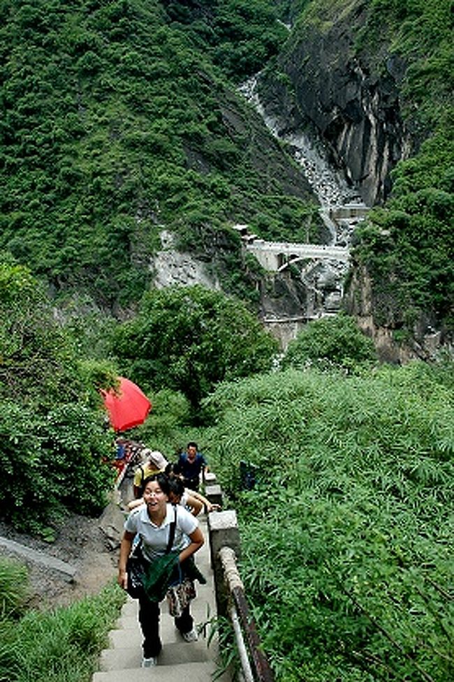 石段途中で一息付くついでに後ろを振り返る。<br /><br />わ〜、もうずいぶん上って来たなあ。<br /><br /><br />さっきまで見えていた金沙江の流れはもう木々に隠されて見えなくなった。<br /><br />その代わりに見えたのは、麗江市側の絶壁と、SUR SHANGHAIの後ろに連なる人の姿。