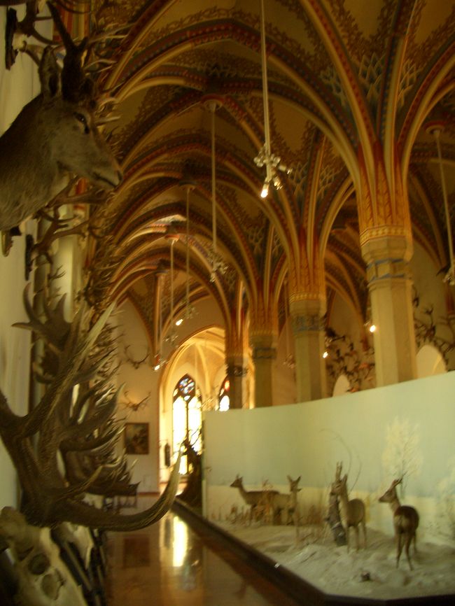 こちら、角がいっぱい(＠＠;)ひょえ〜。この部屋に赤いカバンしかいなかったので、ちょっとビクビク。奇妙。