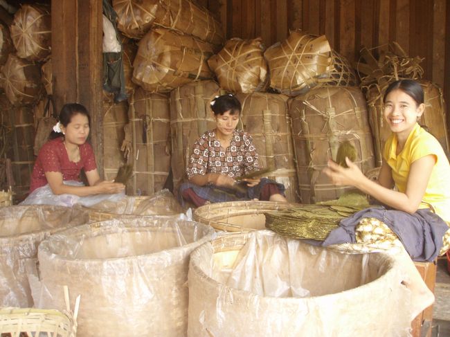 食後は、葉っぱを詰め込む作業をしている工場へ。あたり一面が柏餅の葉っぱのニオイがします。何に使うのだろう？オヤジの英語では理解できなかったけど、多分タバコ？葉巻用かな？そういえば、オヤジの奥さんも家で葉巻作っていたし・・・。