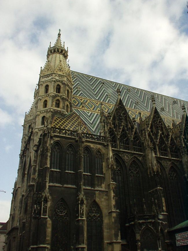 リング内に戻り、シュテファン大聖堂を見学しました。