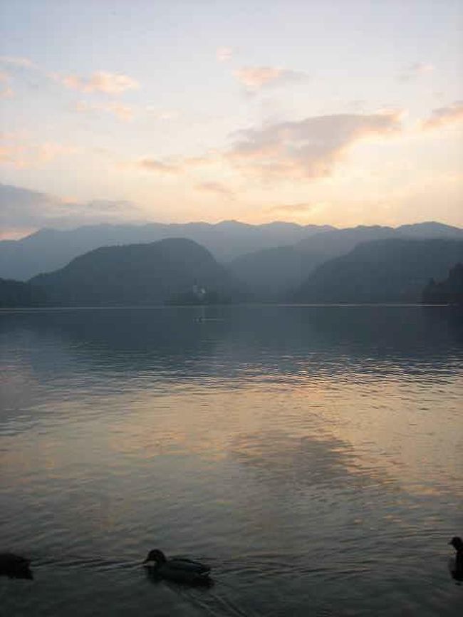 朝陽が湖面をピンクに染めて