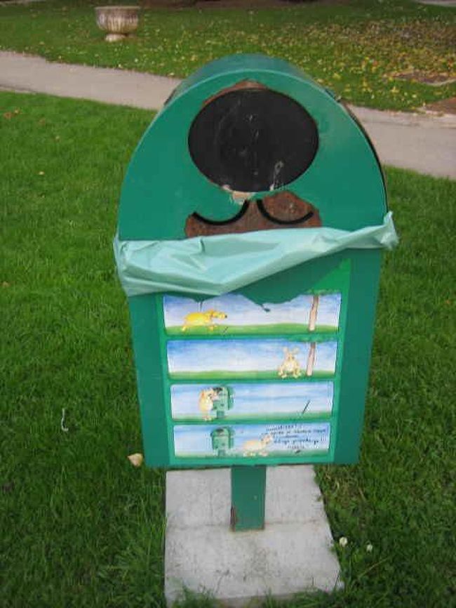 犬がたくさん散歩してます<br /><br />ちゃんと糞の始末はこちらで