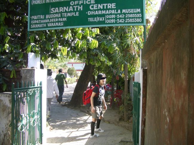 緑豊か！な　サルナートにて・・・。（バラナシの郊外！の観光地）<br /><br />サルナートは、仏陀が、初めて　説法した！ーーー仏教徒！の　聖地！。<br /><br /><br />