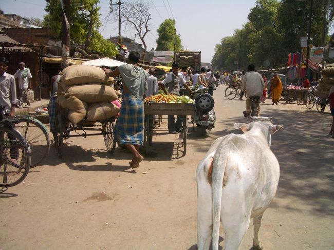 日本人が　やって来ることは　まず、無いでしょう！という感じ！の　「田舎の　市場」。<br /><br />白い　ロバ君！のお尻も　可愛く！　<br />あの　麻袋！には、いったい何！？が、入っているんでしょうかね・・・。