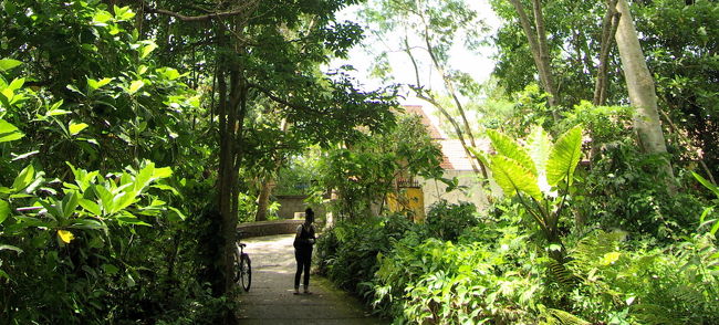 森の中をどんどん行くと。。。