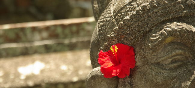 ではさあ、先に進もう。<br /><br />自転車、いよいよ調子が悪い。<br />で、ついにガチャガチャッと派手な音をたてて、壊れた。<br />といっても、チェーンが外れただけで、<br />掛け直すと、不思議。。。絶好調。<br /><br />が、チェーンがスムーズになると、<br />こんどは、サドルの角度がどうも気になり出す。<br />あまりにうしろのめりすぎて、<br />股に激しく食い込んで来るのだ。<br />角度を変えるにはレンチが必要。。。<br />で、仕方なく、腰を浮かせ気味で運転。 <br /><br />カタチは、すごくカッコいいのに、残念だなぁ。<br />さすがインドネシアって感じです（^^；<br /><br />気を取り直してさあ、進もう。