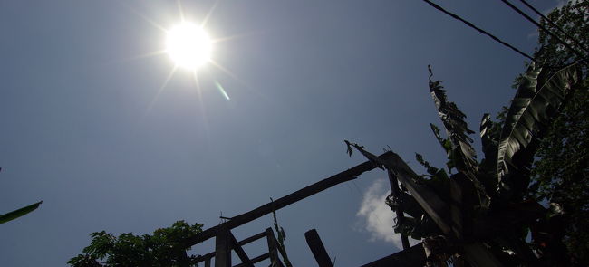 照りつける太陽が眩しい。。。