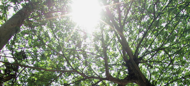 このあと、幹線車道に出る。<br />やはり、車道はコワイ。。。<br />というより、うるさい。<br />バイクだらけなのです。<br />はやいこと、小径に入ってしまいたいなぁ。