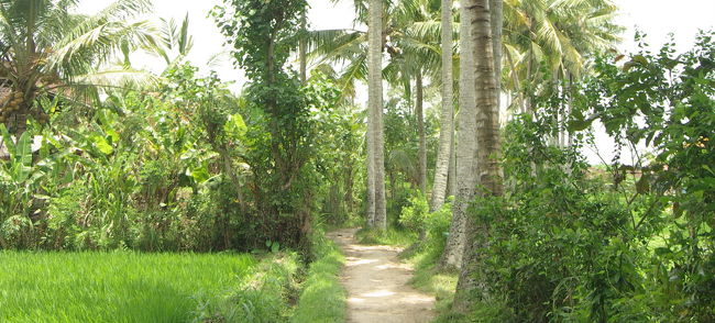 素敵な小径、発見