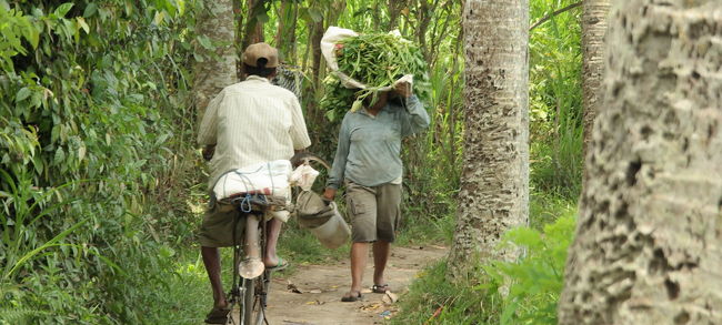 細い小径ですが、<br />人の行き来は結構ある。<br />地元の方は、みんな明るい。<br />とっても気軽に、にこやかに挨拶をかわします。