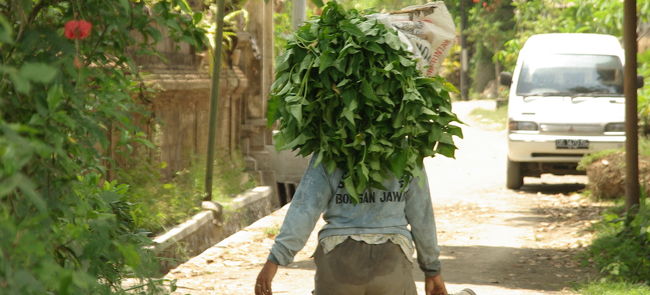 風情あるなぁ。