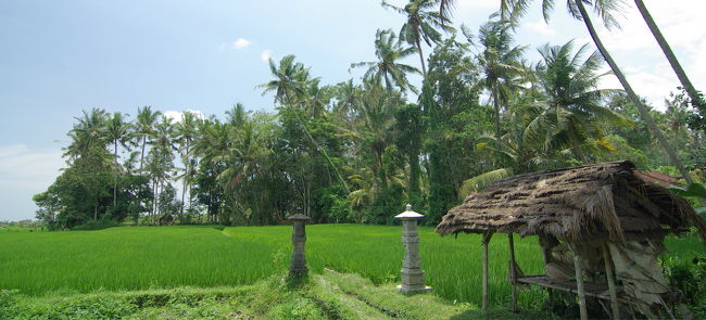 田園の中を行く。