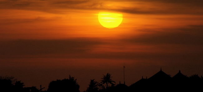 丸いシルエットが出て来ましたね（^^