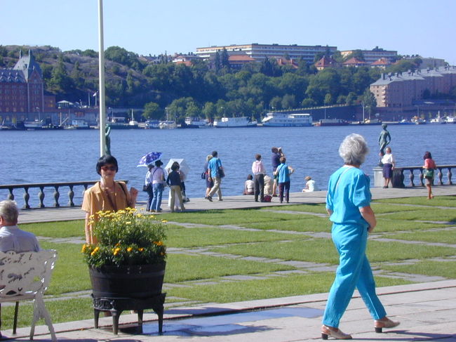 市庁舎に来ていた女性の青い服が印象的でした。