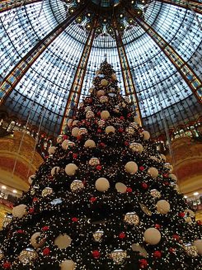 もともとこの吹き抜けも素晴らしいんですが<br />見事なツリーに一足早いクリスマス気分を味わう事が出来て感動でした♪