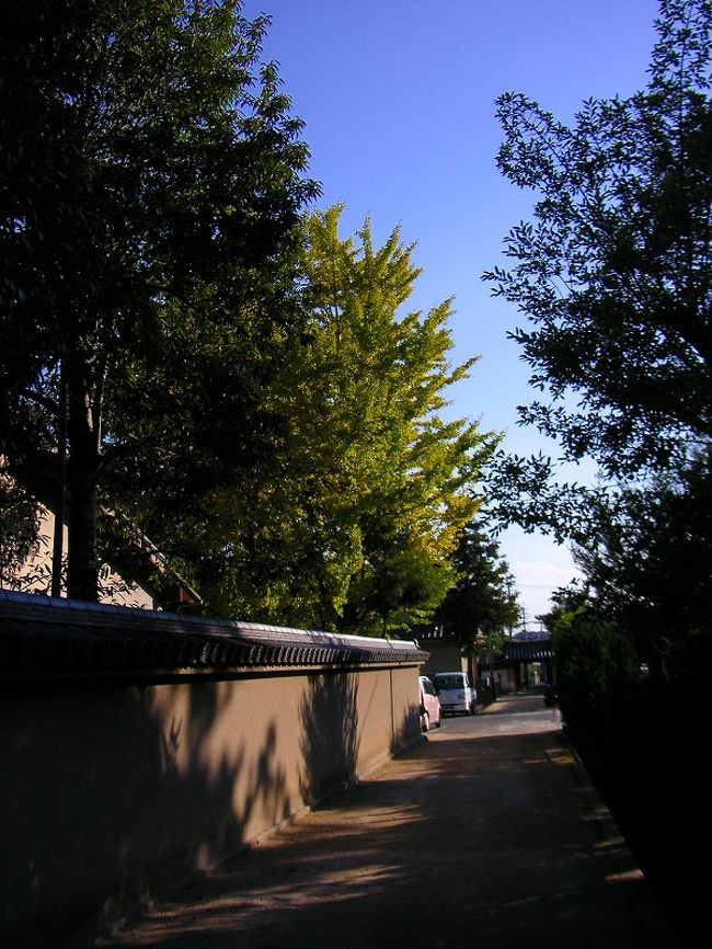 四天王南門へ向かう道