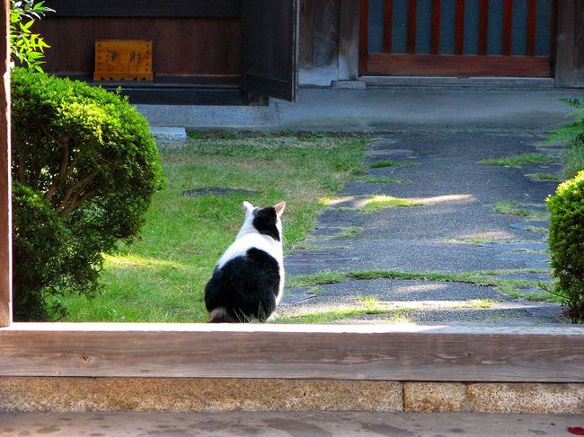 塔頭寺院　増長院で