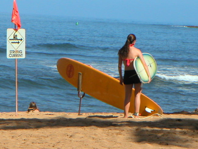 波の高さは3フィートぐらい。ホントに静かでした。<br /><br />見たかったなぁ、プロの技。ホント、残念・・・。